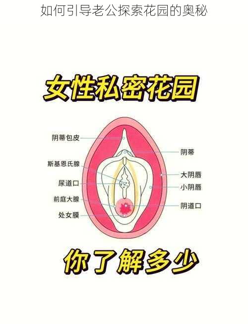 如何引导老公探索花园的奥秘