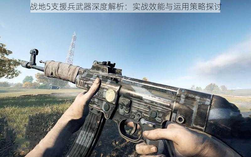 战地5支援兵武器深度解析：实战效能与运用策略探讨