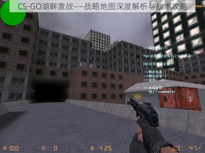 CS-GO湖畔激战——战略地图深度解析与战术攻略