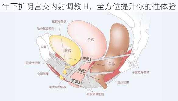 年下扩阴宫交内射调教 H，全方位提升你的性体验