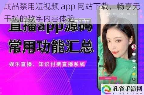 成品禁用短视频 app 网站下载，畅享无干扰的数字内容体验