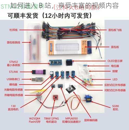 如何进入 B 站，享受丰富的视频内容