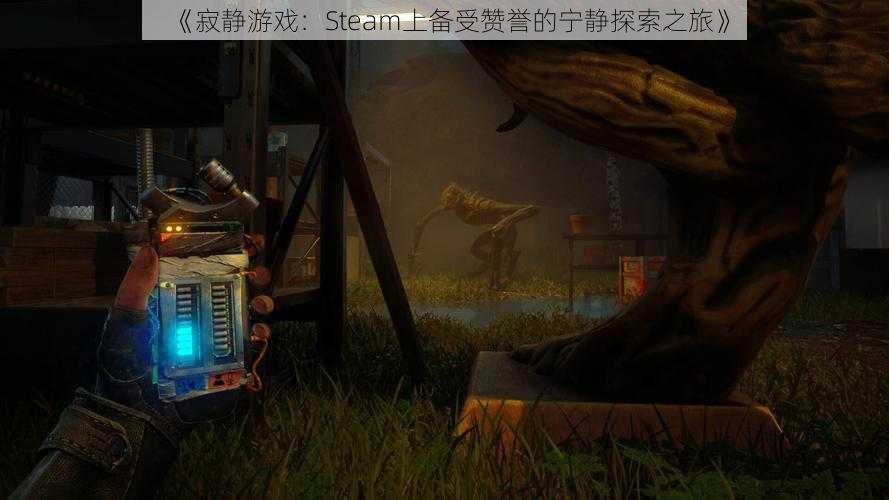 《寂静游戏：Steam上备受赞誉的宁静探索之旅》