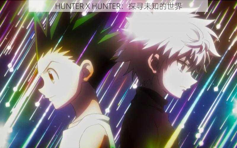 HUNTER X HUNTER：探寻未知的世界