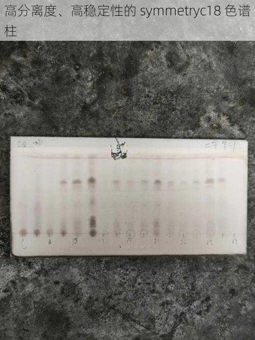 高分离度、高稳定性的 symmetryc18 色谱柱