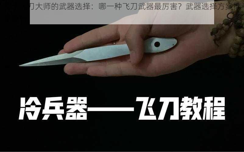 关于飞刀大师的武器选择：哪一种飞刀武器最厉害？武器选择方案推荐解析