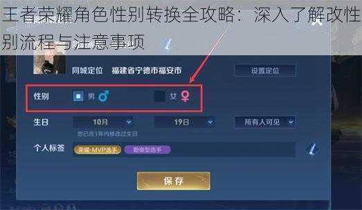 王者荣耀角色性别转换全攻略：深入了解改性别流程与注意事项