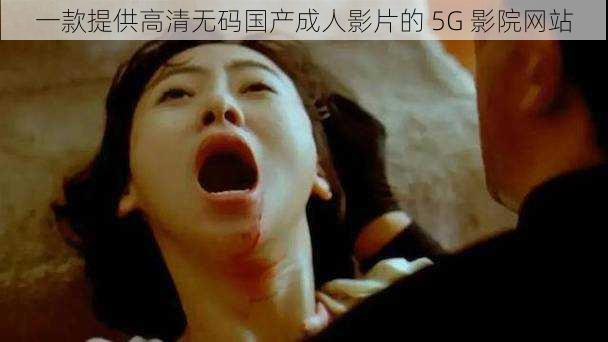 一款提供高清无码国产成人影片的 5G 影院网站