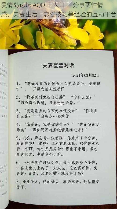 爱情岛论坛 AQDLT 入口——分享两性情感、夫妻生活、恋爱技巧等经验的互动平台