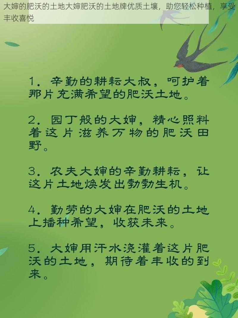 大婶的肥沃的土地大婶肥沃的土地牌优质土壤，助您轻松种植，享受丰收喜悦