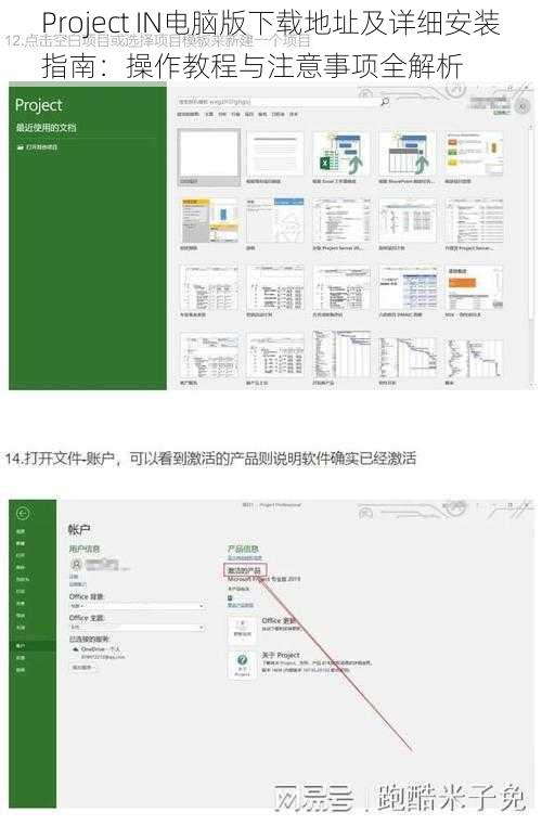 Project IN电脑版下载地址及详细安装指南：操作教程与注意事项全解析