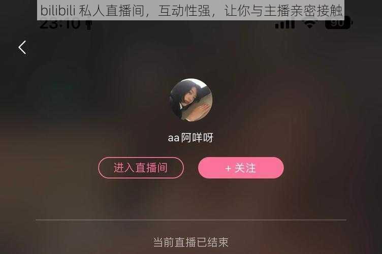 bilibili 私人直播间，互动性强，让你与主播亲密接触