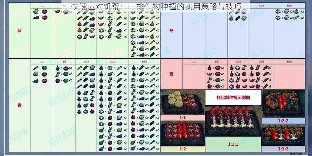 快速应对饥荒：一排作物种植的实用策略与技巧