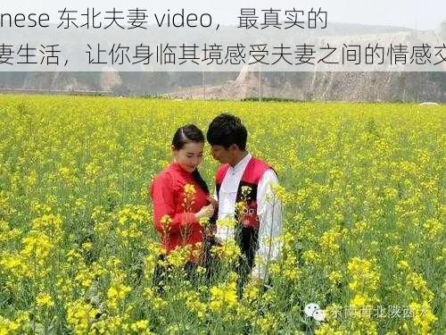 chinese 东北夫妻 video，最真实的夫妻生活，让你身临其境感受夫妻之间的情感交流