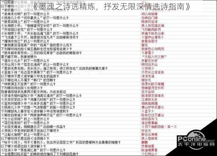 《墨魂之诗选精炼，抒发无限深情选诗指南》