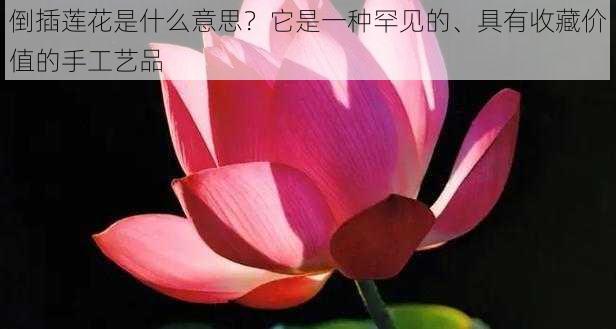 倒插莲花是什么意思？它是一种罕见的、具有收藏价值的手工艺品