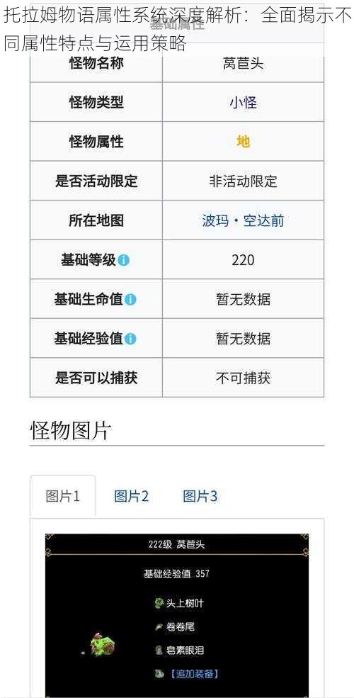 托拉姆物语属性系统深度解析：全面揭示不同属性特点与运用策略