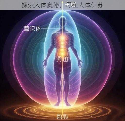 探索人体奥秘，尽在人体伊苏