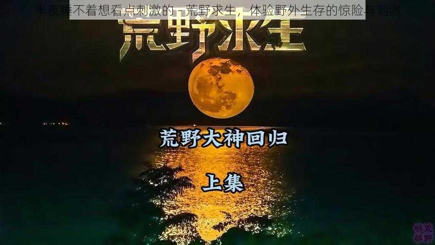 半夜睡不着想看点刺激的 - 荒野求生，体验野外生存的惊险与刺激