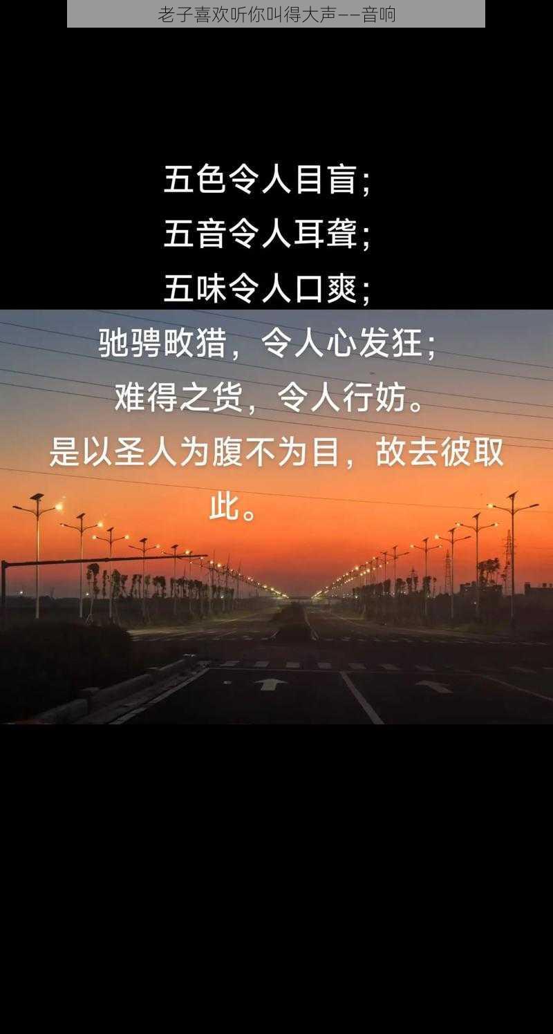 老子喜欢听你叫得大声——音响