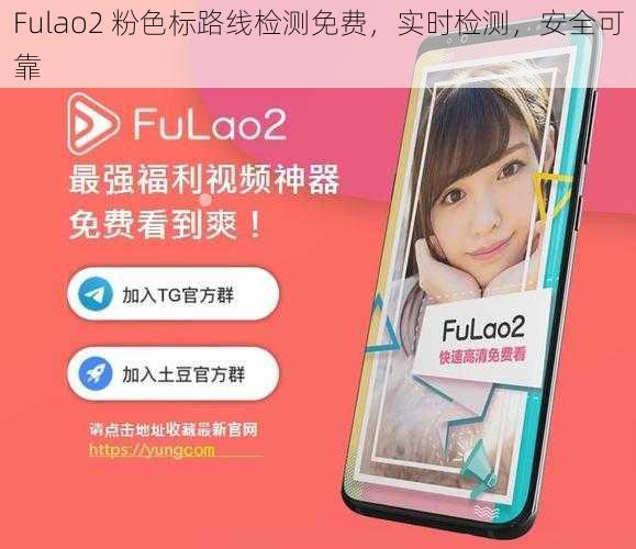 Fulao2 粉色标路线检测免费，实时检测，安全可靠