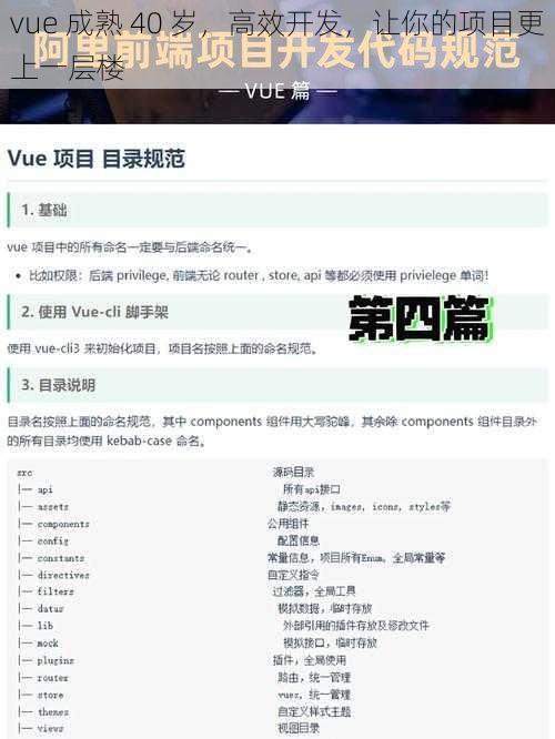 vue 成熟 40 岁，高效开发，让你的项目更上一层楼