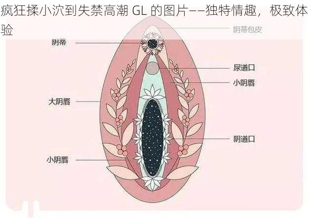 疯狂揉小泬到失禁高潮 GL 的图片——独特情趣，极致体验