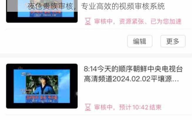 夜色贵族审核，专业高效的视频审核系统
