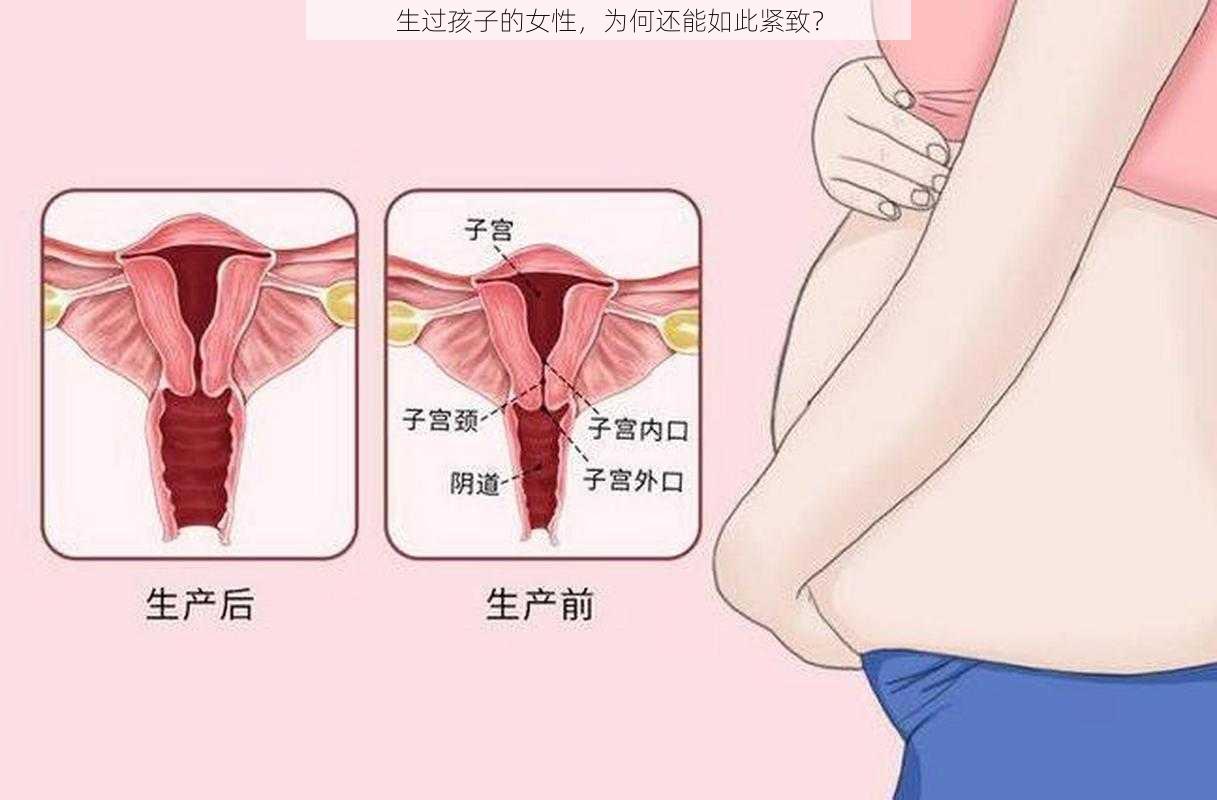 生过孩子的女性，为何还能如此紧致？