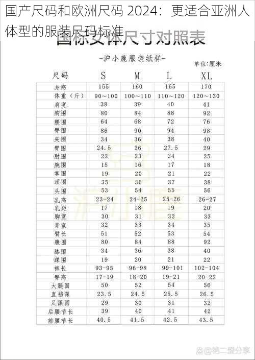 国产尺码和欧洲尺码 2024：更适合亚洲人体型的服装尺码标准