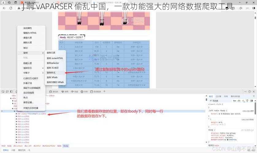 J 啊 vAPARSER 偷乱中国，一款功能强大的网络数据爬取工具