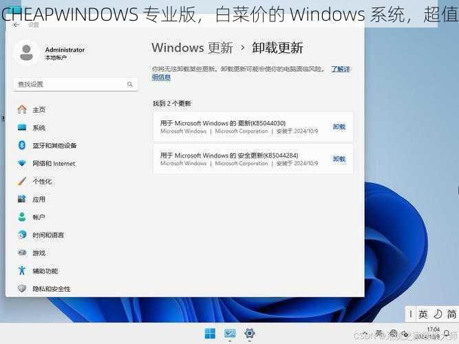 CHEAPWINDOWS 专业版，白菜价的 Windows 系统，超值