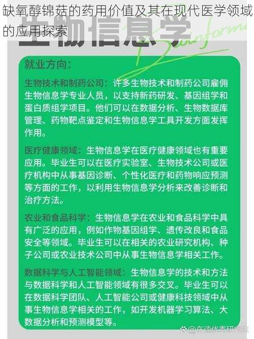 缺氧醇锦菇的药用价值及其在现代医学领域的应用探索