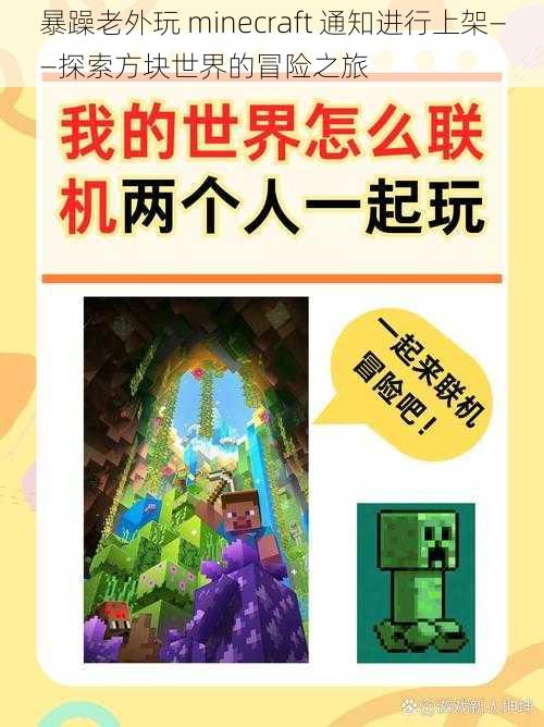 暴躁老外玩 minecraft 通知进行上架——探索方块世界的冒险之旅