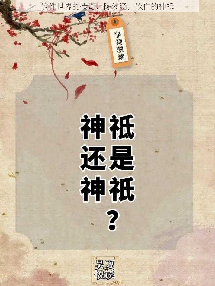 软件世界的传奇：陈依涵，软件的神祇