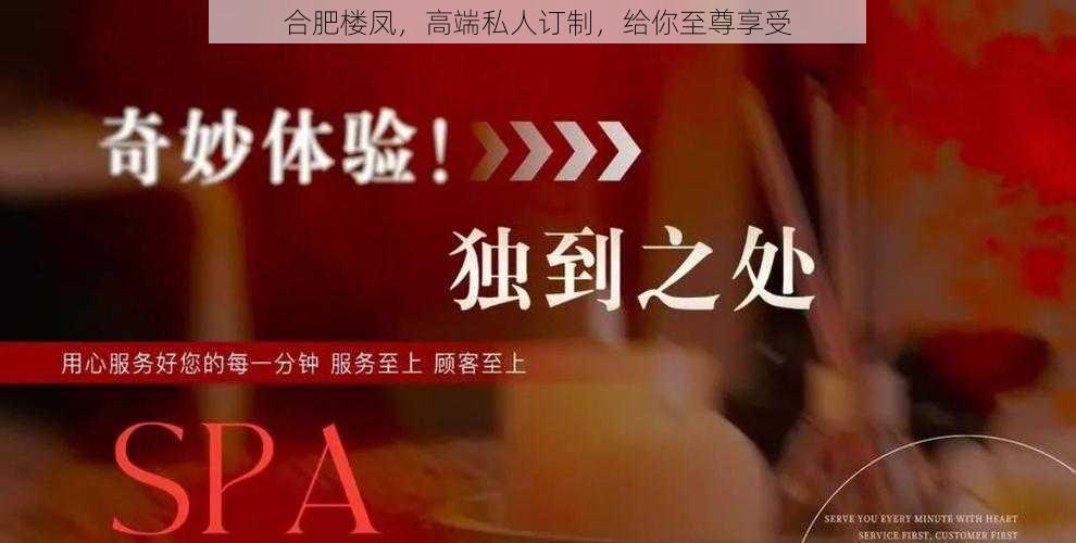 合肥楼凤，高端私人订制，给你至尊享受