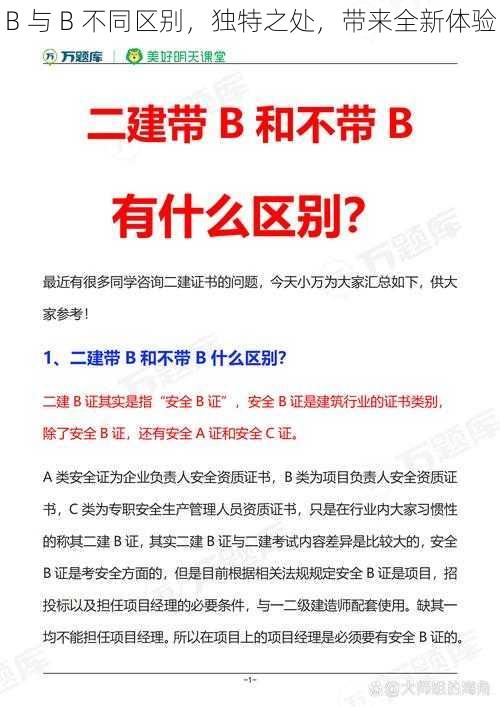 B 与 B 不同区别，独特之处，带来全新体验