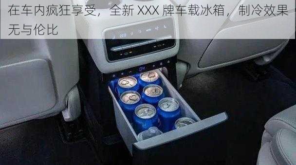 在车内疯狂享受，全新 XXX 牌车载冰箱，制冷效果无与伦比