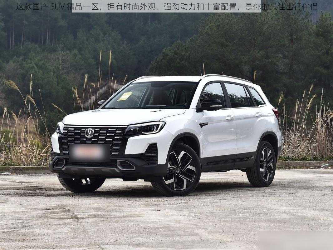 这款国产 SUV 精品一区，拥有时尚外观、强劲动力和丰富配置，是你的最佳出行伴侣