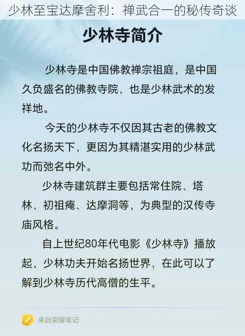 少林至宝达摩舍利：禅武合一的秘传奇谈