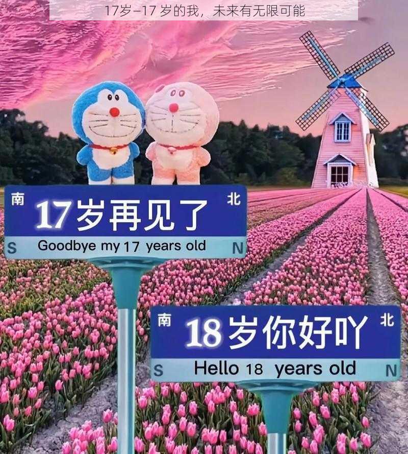 17岁—17 岁的我，未来有无限可能