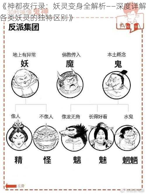 《神都夜行录：妖灵变身全解析——深度详解各类妖灵的独特区别》