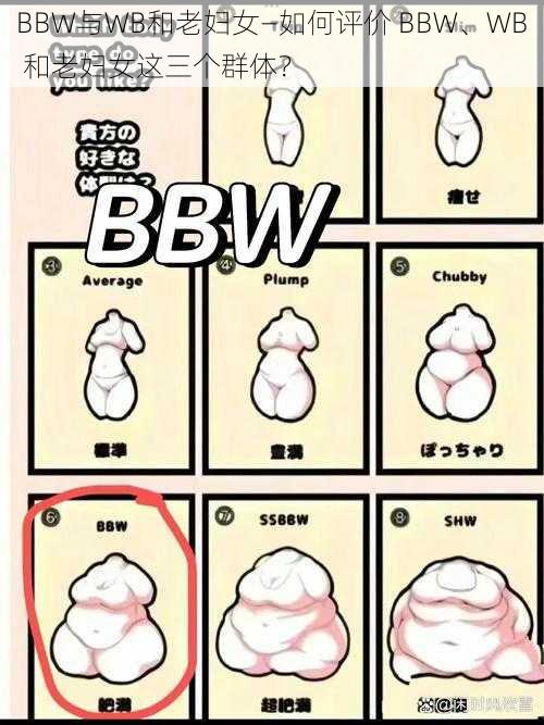 BBW与WB和老妇女—如何评价 BBW、WB 和老妇女这三个群体？