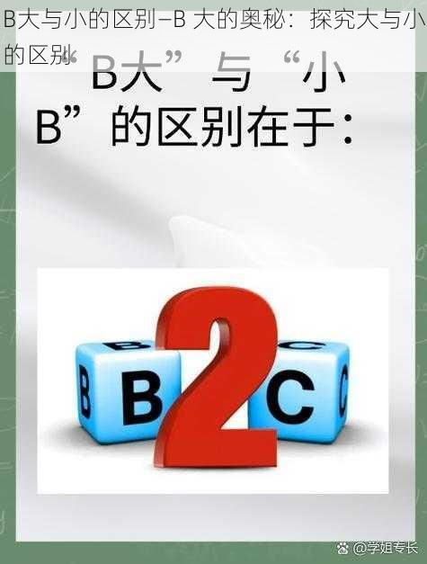 B大与小的区别—B 大的奥秘：探究大与小的区别