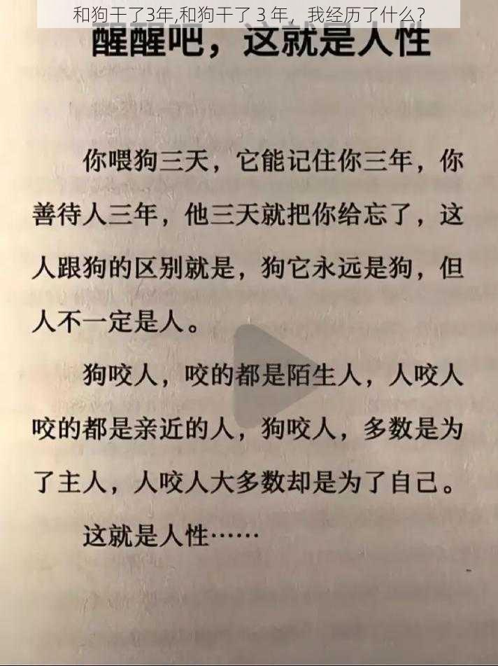 和狗干了3年,和狗干了 3 年，我经历了什么？