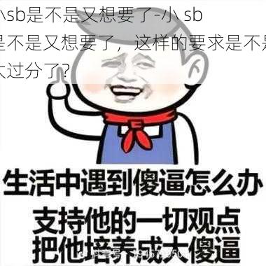 小sb是不是又想要了-小 sb 是不是又想要了，这样的要求是不是太过分了？