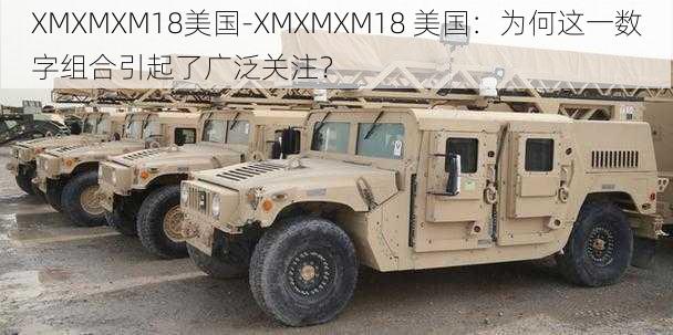 XMXMXM18美国-XMXMXM18 美国：为何这一数字组合引起了广泛关注？