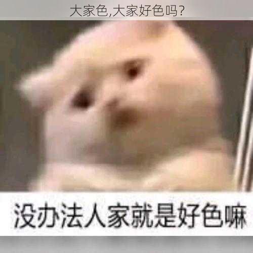 大家色,大家好色吗？