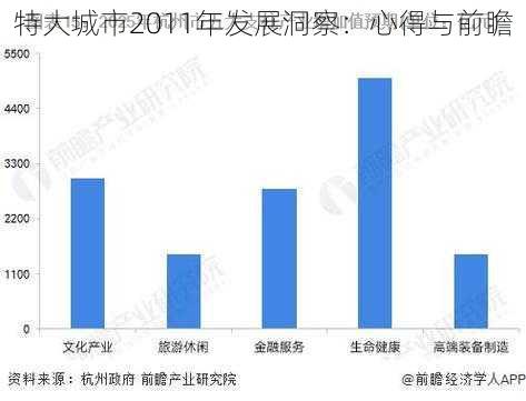 特大城市2011年发展洞察：心得与前瞻