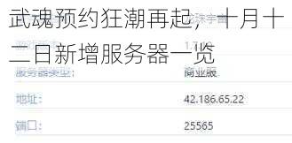 武魂预约狂潮再起，十月十二日新增服务器一览